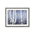 Picture of Plain White Birches _GroupedProduct_Rectangle_Landscape_Framed_Matted_