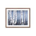 Picture of Plain White Birches _GroupedProduct_Rectangle_Landscape_Framed_Matted_