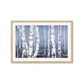 Picture of Plain White Birches _GroupedProduct_Rectangle_Landscape_Framed_Matted_