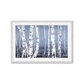 Picture of Plain White Birches _GroupedProduct_Rectangle_Landscape_Framed_Matted_