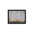 Picture of Birch Tree (yellow leaf) _GroupedProduct_Rectangle_Landscape_Framed_Matted_