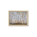 Picture of Birch Tree (yellow leaf) _GroupedProduct_Rectangle_Landscape_Framed_Matted_