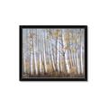 Picture of Birch Tree (yellow leaf) _GroupedProduct_Rectangle_Landscape_Framed_Matted_