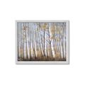 Picture of Birch Tree (yellow leaf) _GroupedProduct_Rectangle_Landscape_Framed_Matted_