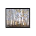 Picture of Birch Tree (yellow leaf) _GroupedProduct_Rectangle_Landscape_Framed_Matted_