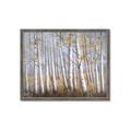 Picture of Birch Tree (yellow leaf) _GroupedProduct_Rectangle_Landscape_Framed_Matted_