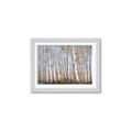 Picture of Birch Tree (yellow leaf) _GroupedProduct_Rectangle_Landscape_Framed_Matted_