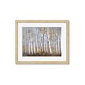 Picture of Birch Tree (yellow leaf) _GroupedProduct_Rectangle_Landscape_Framed_Matted_