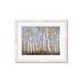Picture of Birch Tree (yellow leaf) _GroupedProduct_Rectangle_Landscape_Framed_Matted_