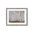 Picture of Birch Tree (yellow leaf) _GroupedProduct_Rectangle_Landscape_Framed_Matted_