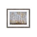 Picture of Birch Tree (yellow leaf) _GroupedProduct_Rectangle_Landscape_Framed_Matted_
