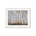 Picture of Birch Tree (yellow leaf) _GroupedProduct_Rectangle_Landscape_Framed_Matted_