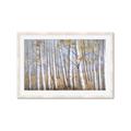 Picture of Birch Tree (yellow leaf) _GroupedProduct_Rectangle_Landscape_Framed_Matted_