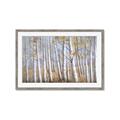 Picture of Birch Tree (yellow leaf) _GroupedProduct_Rectangle_Landscape_Framed_Matted_