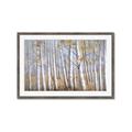 Picture of Birch Tree (yellow leaf) _GroupedProduct_Rectangle_Landscape_Framed_Matted_