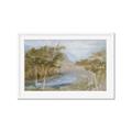 Picture of Clear Swamp _GroupedProduct_Rectangle_Landscape_Framed_Matted_