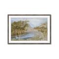 Picture of Clear Swamp _GroupedProduct_Rectangle_Landscape_Framed_Matted_