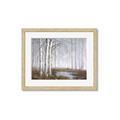 Picture of Foggy Trees _GroupedProduct_Rectangle_Landscape_Framed_Matted_