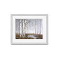 Picture of Foggy Trees _GroupedProduct_Rectangle_Landscape_Framed_Matted_