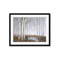 Picture of Foggy Trees _GroupedProduct_Rectangle_Landscape_Framed_Matted_