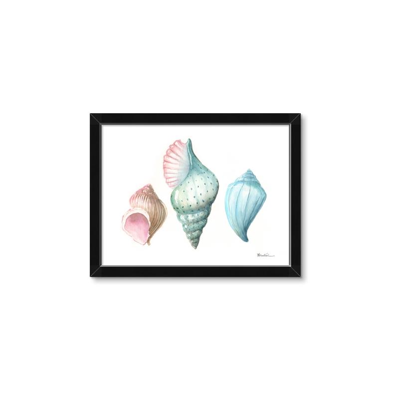 Picture of Seashells I  _GroupedProduct_Rectangle_Landscape_Framed_Matted_