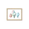 Picture of Seashells I  _GroupedProduct_Rectangle_Landscape_Framed_Matted_