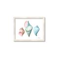 Picture of Seashells I  _GroupedProduct_Rectangle_Landscape_Framed_Matted_