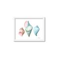 Picture of Seashells I  _GroupedProduct_Rectangle_Landscape_Framed_Matted_