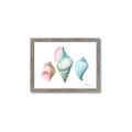 Picture of Seashells I  _GroupedProduct_Rectangle_Landscape_Framed_Matted_