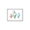 Picture of Seashells I  _GroupedProduct_Rectangle_Landscape_Framed_Matted_