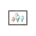 Picture of Seashells I  _GroupedProduct_Rectangle_Landscape_Framed_Matted_