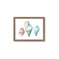 Picture of Seashells I  _GroupedProduct_Rectangle_Landscape_Framed_Matted_