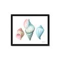 Picture of Seashells I  _GroupedProduct_Rectangle_Landscape_Framed_Matted_