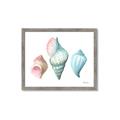 Picture of Seashells I  _GroupedProduct_Rectangle_Landscape_Framed_Matted_