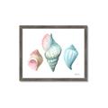 Picture of Seashells I  _GroupedProduct_Rectangle_Landscape_Framed_Matted_