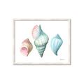 Picture of Seashells I  _GroupedProduct_Rectangle_Landscape_Framed_Matted_