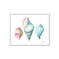 Picture of Seashells I  _GroupedProduct_Rectangle_Landscape_Framed_Matted_