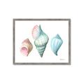 Picture of Seashells I  _GroupedProduct_Rectangle_Landscape_Framed_Matted_