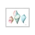 Picture of Seashells I  _GroupedProduct_Rectangle_Landscape_Framed_Matted_