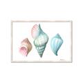Picture of Seashells I  _GroupedProduct_Rectangle_Landscape_Framed_Matted_