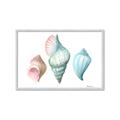 Picture of Seashells I  _GroupedProduct_Rectangle_Landscape_Framed_Matted_