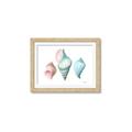 Picture of Seashells I  _GroupedProduct_Rectangle_Landscape_Framed_Matted_