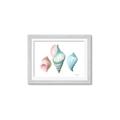 Picture of Seashells I  _GroupedProduct_Rectangle_Landscape_Framed_Matted_
