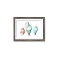 Picture of Seashells I  _GroupedProduct_Rectangle_Landscape_Framed_Matted_