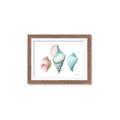 Picture of Seashells I  _GroupedProduct_Rectangle_Landscape_Framed_Matted_