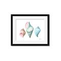 Picture of Seashells I  _GroupedProduct_Rectangle_Landscape_Framed_Matted_