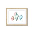 Picture of Seashells I  _GroupedProduct_Rectangle_Landscape_Framed_Matted_