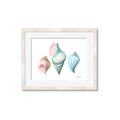 Picture of Seashells I  _GroupedProduct_Rectangle_Landscape_Framed_Matted_