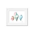 Picture of Seashells I  _GroupedProduct_Rectangle_Landscape_Framed_Matted_