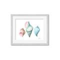 Picture of Seashells I  _GroupedProduct_Rectangle_Landscape_Framed_Matted_